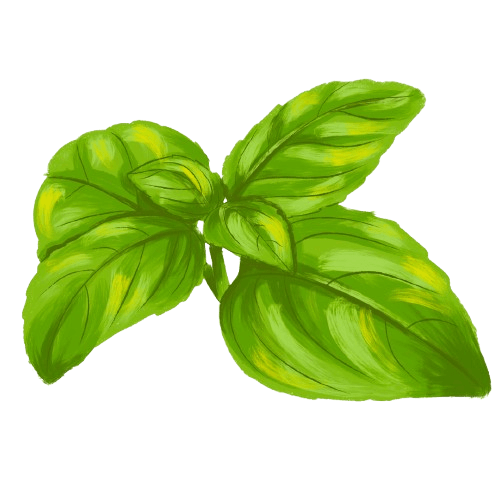Basilic