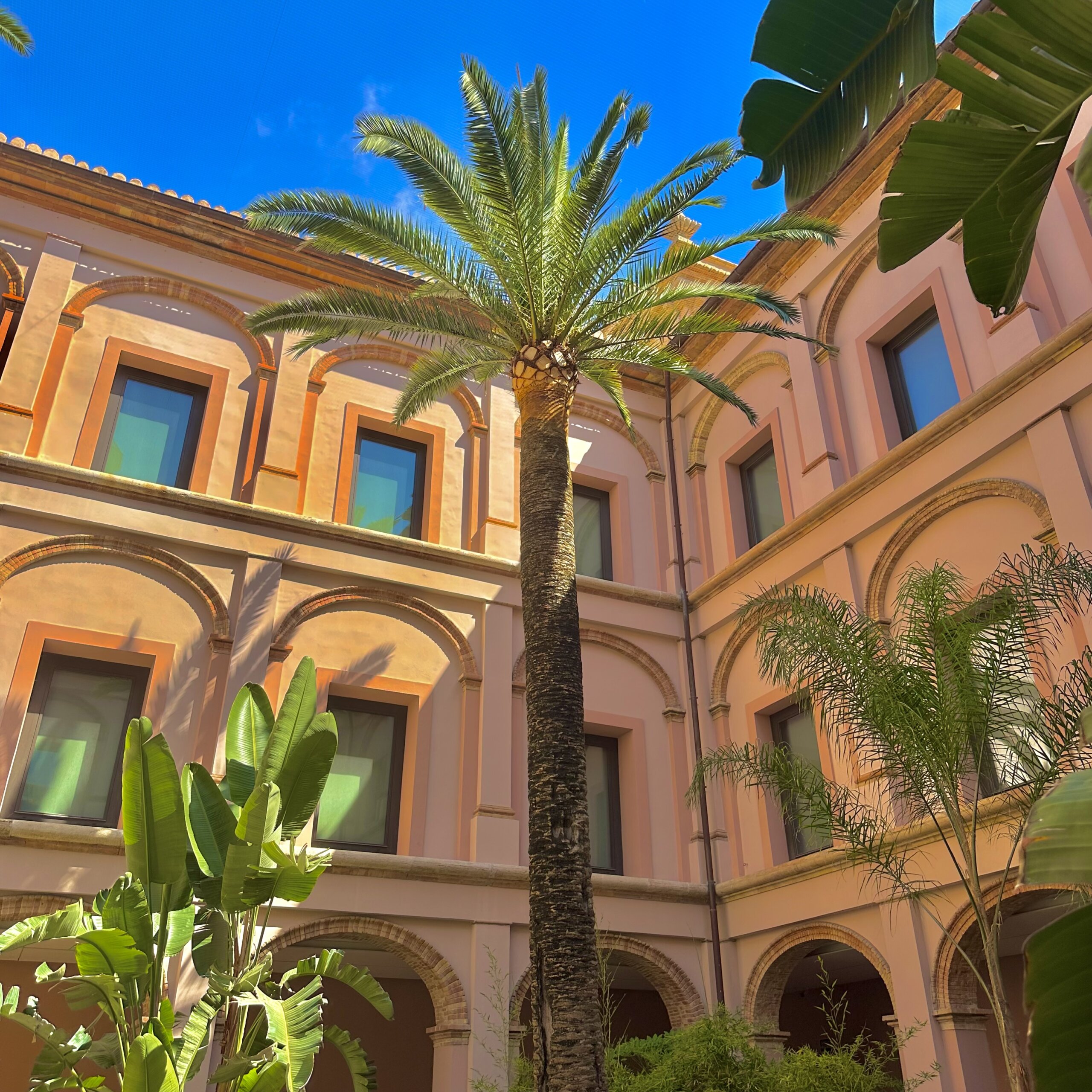 MuseeDesBeauxArts_Valence_ Que visiter à Valence - Musée