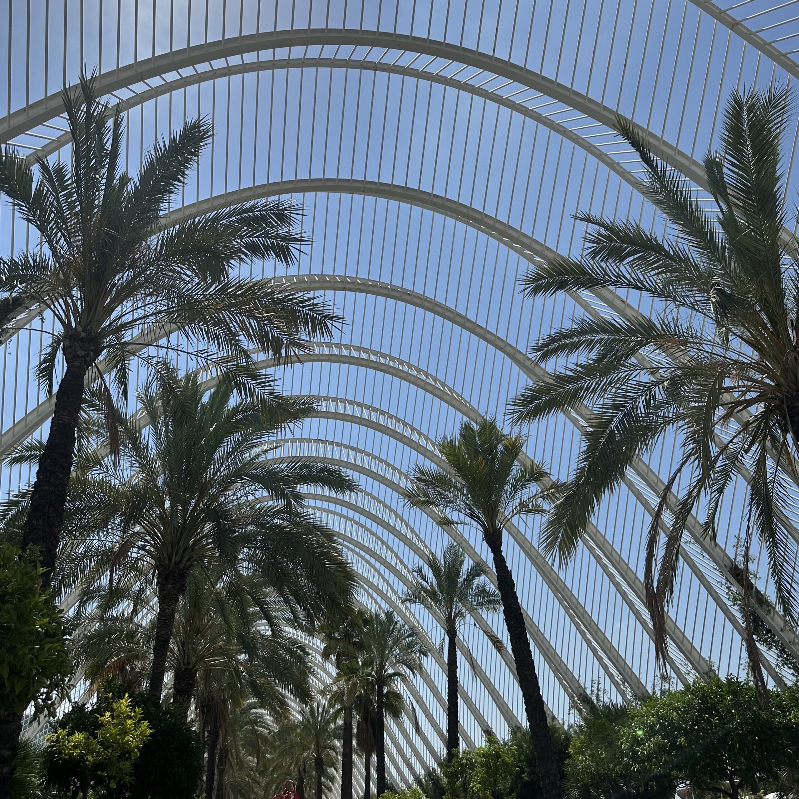 Umbracle_Valence Que visiter à Valence - Umbracle
